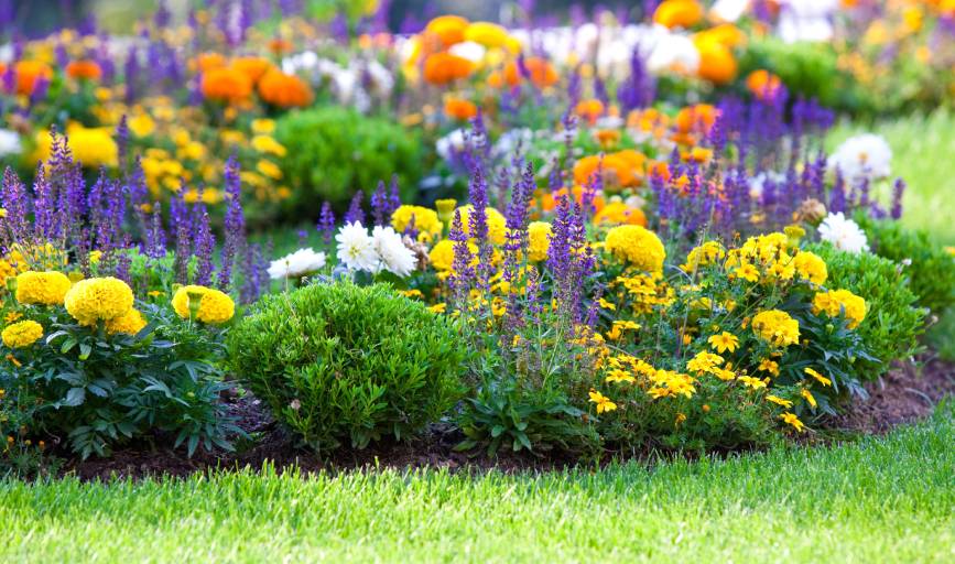 Flower Bed Installation